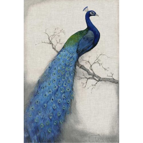 Peacock Blue I