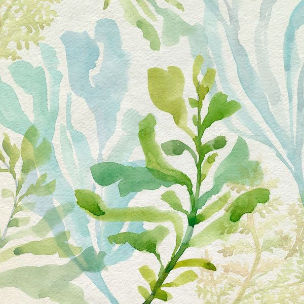 Barnes, Victoria 아티스트의 Seaweed Scramble II작품입니다.