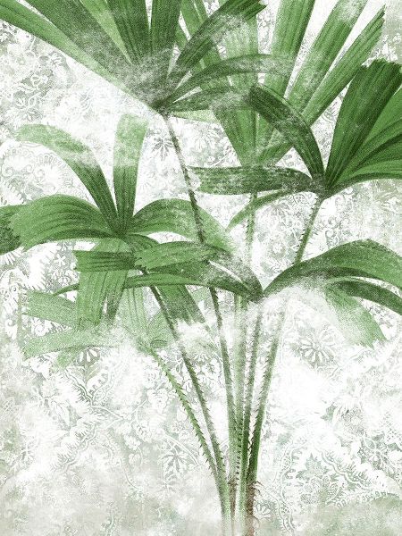 Vess, June Erica 아티스트의 Lace Palms II작품입니다.