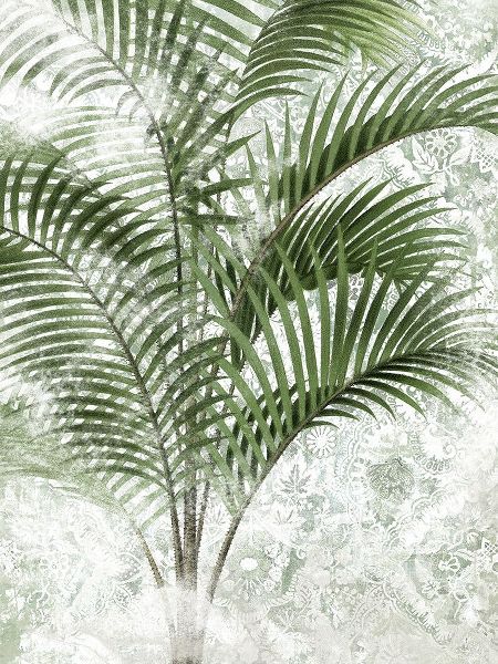 Vess, June Erica 아티스트의 Lace Palms IV작품입니다.
