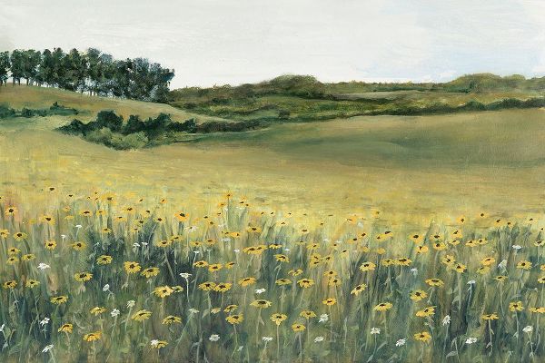 Willett, Michael 아티스트의 Yellow Meadow작품입니다.