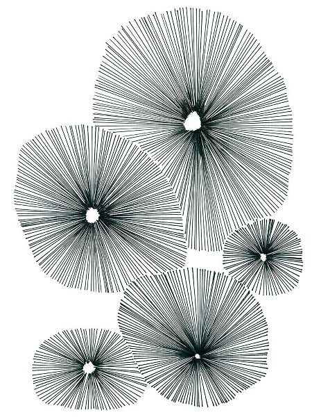 Vess, June Erica 아티스트의 Bloom Spiral II작품입니다.