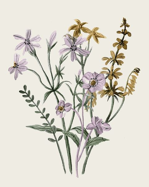 Wang, Melissa 아티스트의 Honey Spring Wildflowers II작품입니다.