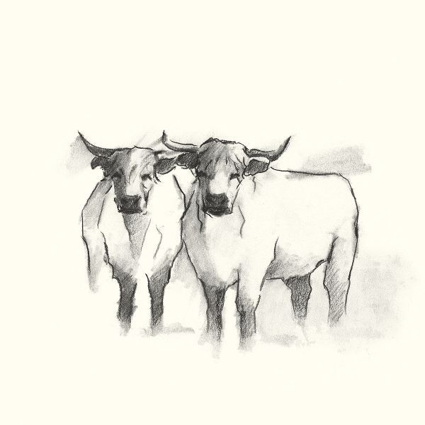 Harper, Ethan 아티스트의 Folksie Highland Cattle II작품입니다.
