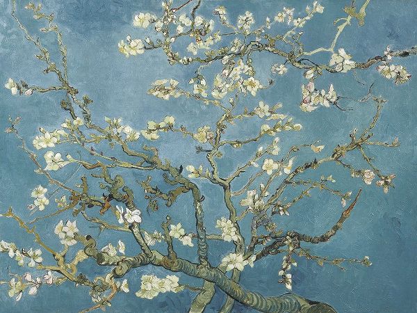 Van Gogh, Vincent 아티스트의 Van Goghs Almond Blossom작품입니다.