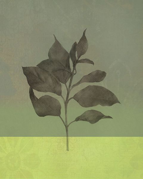 Bagnato, Judi 아티스트의 Leaves Green II작품입니다.