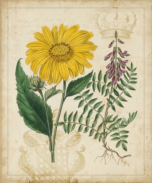 Botanical Repertoire III