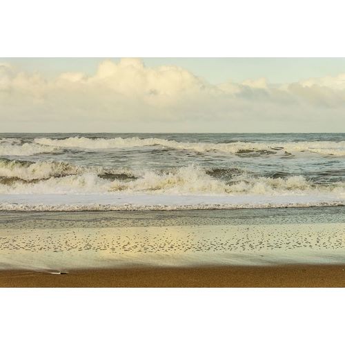 Poinski, Dianne 아티스트의 Beach Stroll I작품입니다.