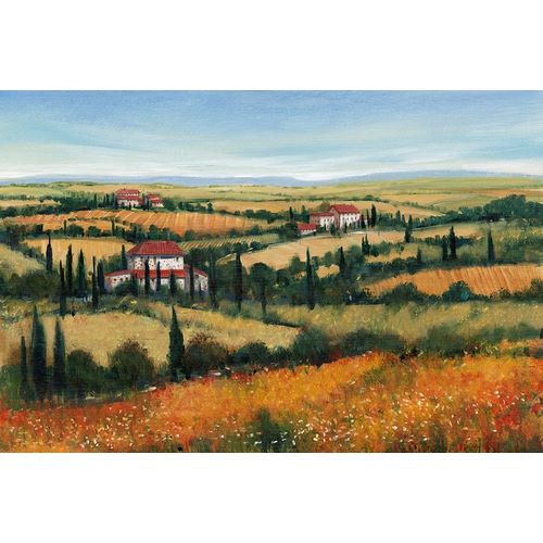 OToole, Tim 아티스트의 Hills of Tuscany II작품입니다.