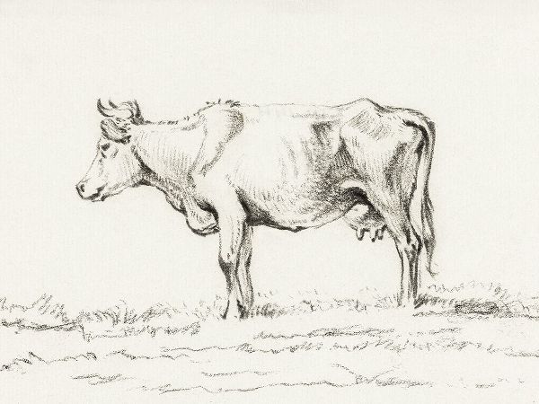 Bernard, Jean 아티스트의 Bernard Cow Sketch I작품입니다.
