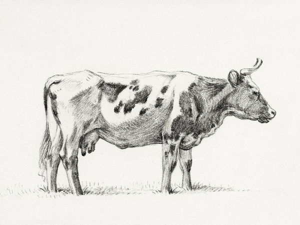 Bernard, Jean 아티스트의 Bernard Cow Sketch III작품입니다.