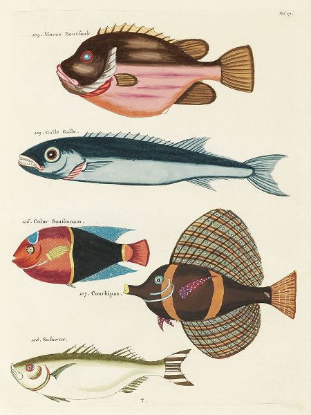 Renard, Louis 아티스트의 Renard Tropical Fish IV작품입니다.
