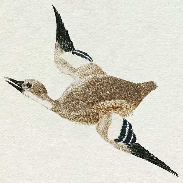 Teyler, Johan 아티스트의 Flying Ducks II작품입니다.