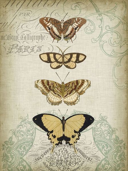 Cartouche and Butterflies II