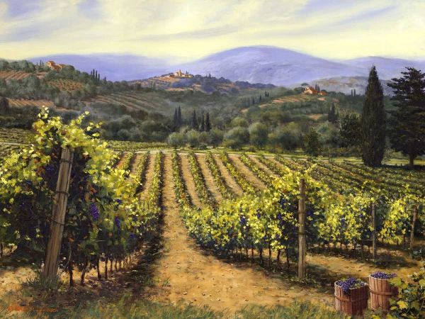 Tuscany Vines