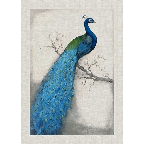 Custom Peacock Blue I (ASH)