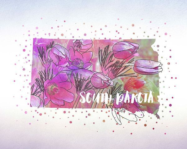 Inner Circle 아티스트의 South Dakota State Flower (American Pasque)작품입니다.