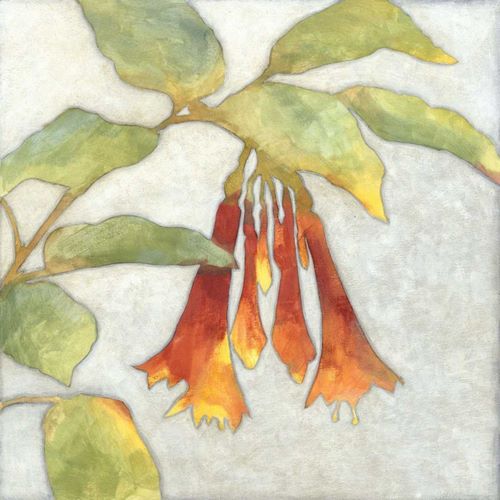Fuchsia Blooms I