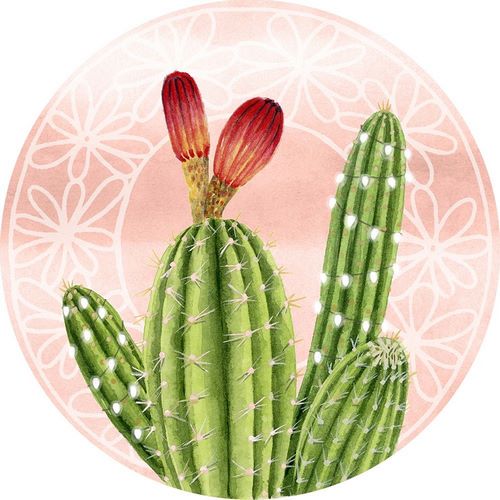 Popp, Grace 아티스트의 Christmas Cactus Collection C 작품