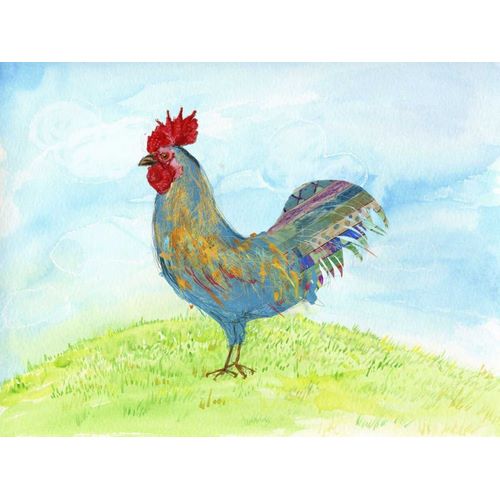 Meadow Rooster