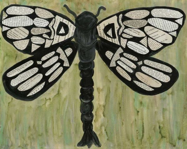 Dragonfly Text