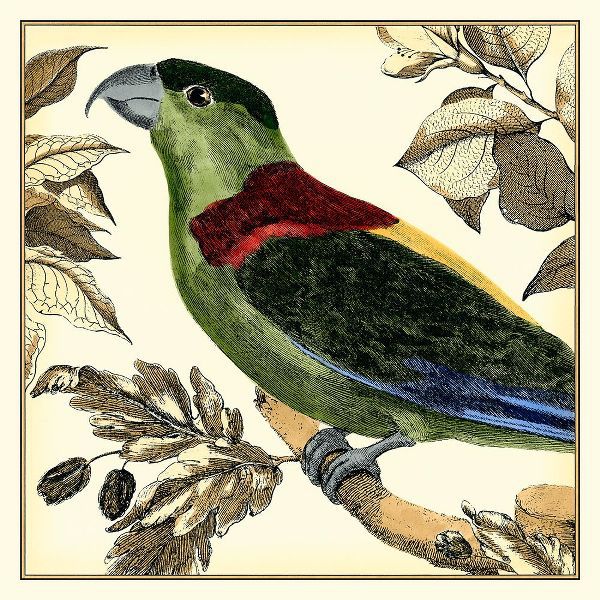 Martinet 아티스트의 Tropical Parrot IV작품입니다.