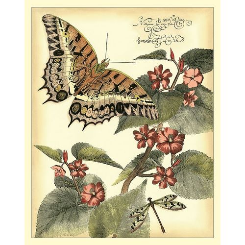 Whimsical Butterflies II