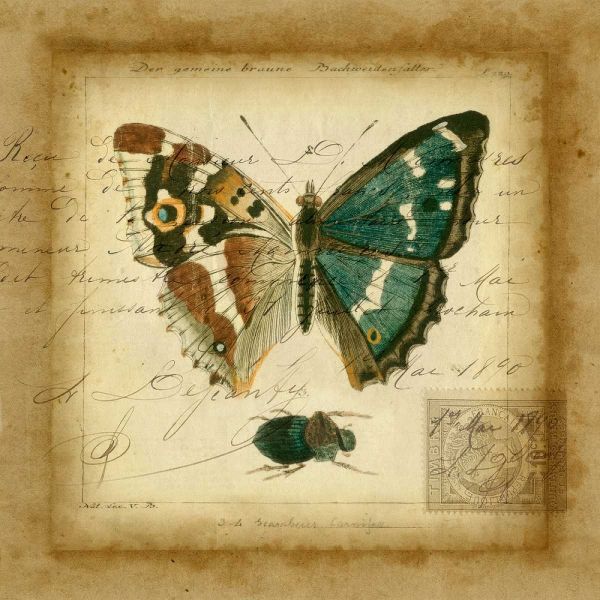 Postscript Butterfly II