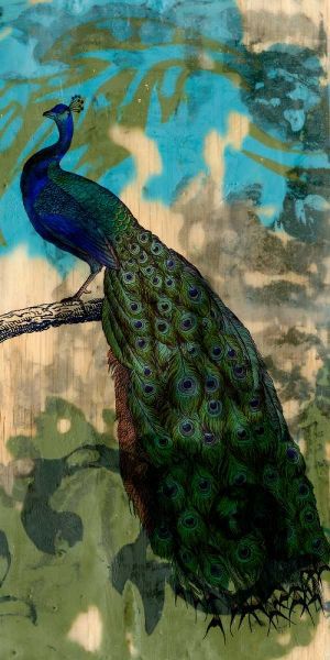 Rustic Peacock II