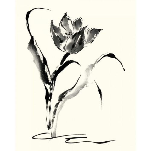 Studies in Ink - Tulip