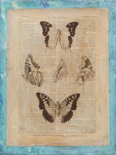 Bookplate Butterflies IV
