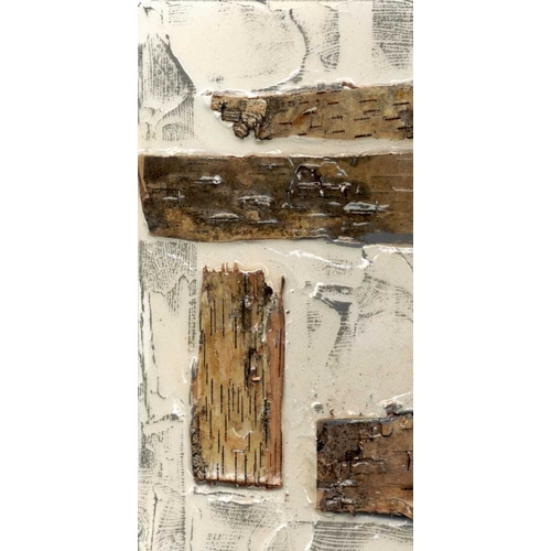 Birch Bark Abstract I