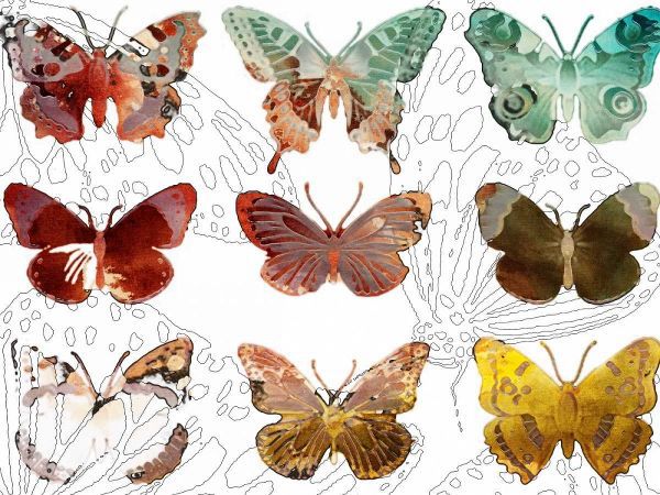 Layered Butterflies II
