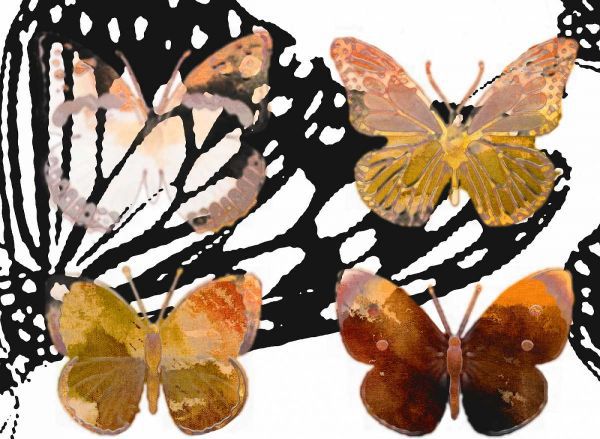 Layered Butterflies III