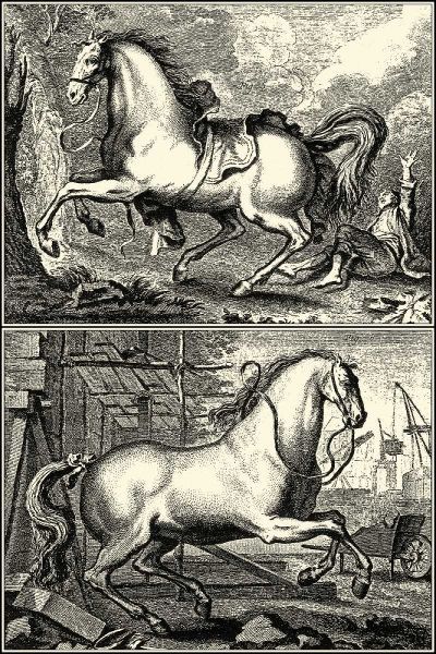 Galloping Horses I