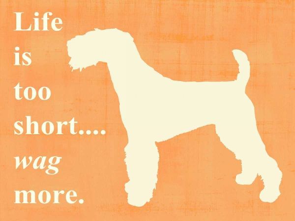Life is too short - wag more