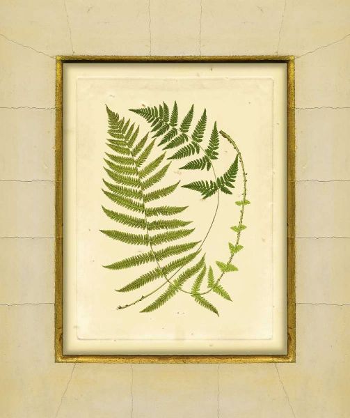 Fern with Crackle Mat III