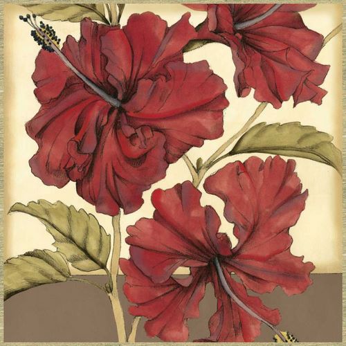 Cropped Sophisticated Hibiscus I