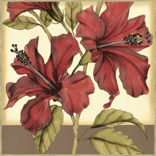 Cropped Sophisticated Hibiscus II