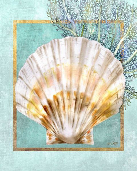Scallop Shell and Coral