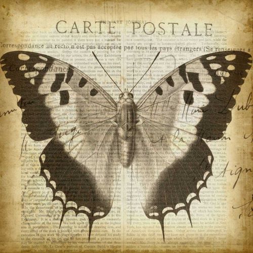 Carte Postale Butterfly II