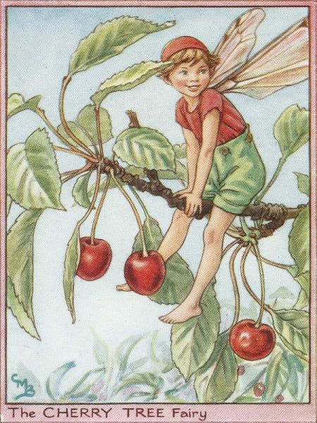 The Cherry Tree Fairy