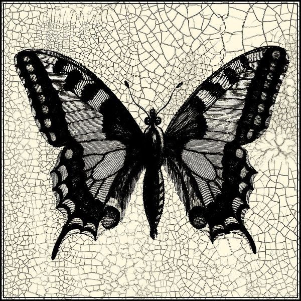 Classical Butterfly I