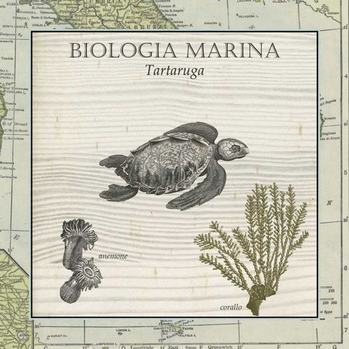 Biologia Marina IV