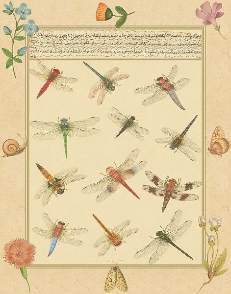 Prasad, Jaggu 아티스트의 Custom Dragonfly Manuscript I (HI)작품입니다.