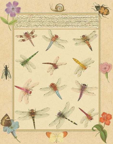 Prasad, Jaggu 아티스트의 Custom Dragonfly Manuscript II (HI)작품입니다.