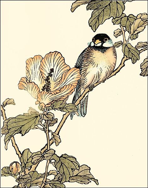 Oriental Bird on Branch I