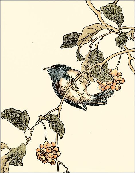Oriental Bird on Branch III