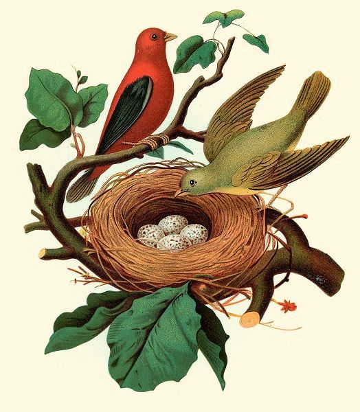 Feathering Nest II