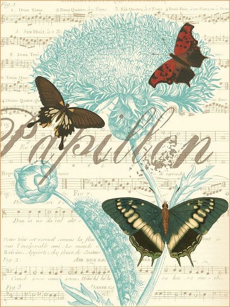 Papillon Melange IV
